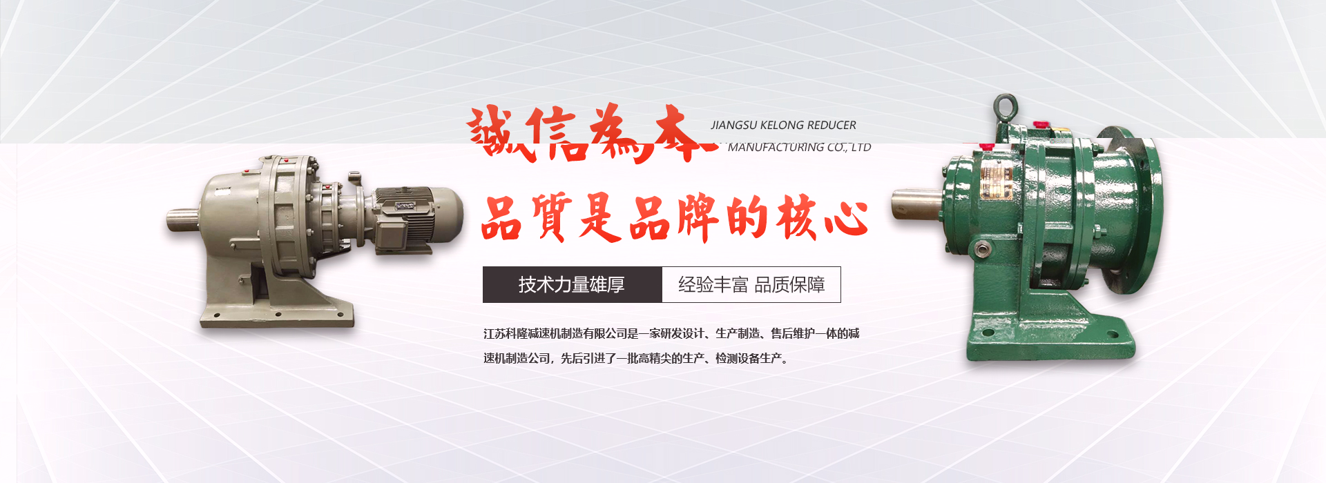 俄罗斯专享会294减速机